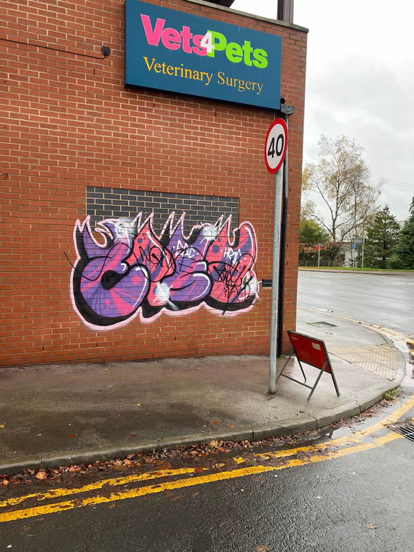 Bolton brick cleaning cleaning before